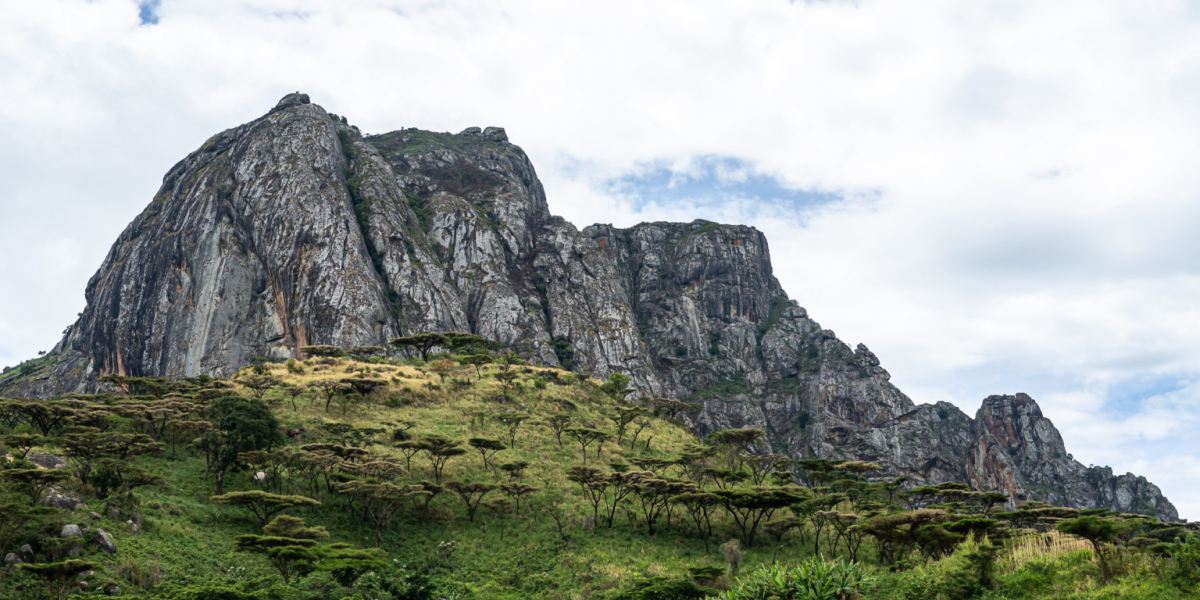 CnP_01082026_151533